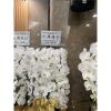 白色出租蘭花(限殯儀館內告別式單場)-出貨照片