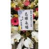 5株蘭花(白)-出貨照片