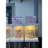 (租用)三對粉色永生花燈柱(豎靈到告別式)-限殯儀館-出貨照片