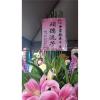 典雅高架花籃C款(不挑款式隨機出貨)-出貨照片