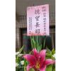 典雅高架花籃C款(不挑款式隨機出貨)-出貨照片