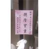6株落地蘭花(白色)-出貨照片