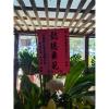 典雅高架花籃(A01款)-出貨照片