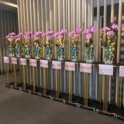 {出租}瓶安圓滿蘭花(限殯儀館告別式...