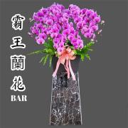 200cm霸王蘭花-台北,新北（粉）...