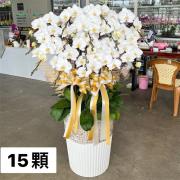15株蘭花盆景(白)