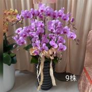 九株蘭花盆景(粉)