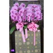 180公分 4株高架藝術蘭花盆(粉)