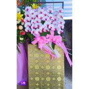 180公分 5株高架藝術蘭花盆(粉)