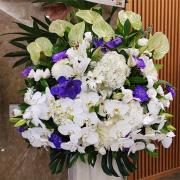 (限殯儀館內告別式會場)典雅繡球花花...