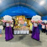 元寶蘭花柱(花器需回收)