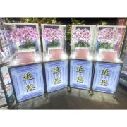 蘭花燈櫃 (15天內)