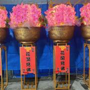 粉色球型帝王蘭花買斷(花器需回收)