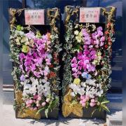 {館內}蘭花出租尊爵大黑框(告別式當...