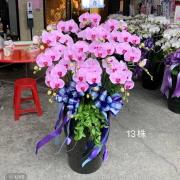 13株蘭花(粉色)