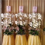 出租蘭花(白/限館內告別式會場/2對...
