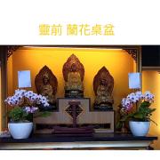 3株靈前蘭花(限中壢殯儀館及周圍私人...