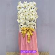 白色出租蘭花(限殯儀館內告別式單場)...