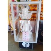 小天使 (20天)-花蓮