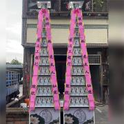 11層平安米塔(搭空盒300克*18...