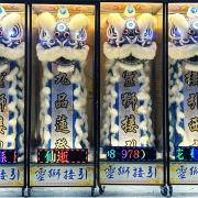 270cm靈獅(14天)
