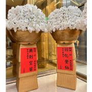 巨無霸蘭花球-出租蘭花(桃園館外-告...