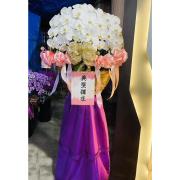 租用蘭花
