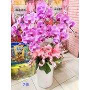 7株粉色蘭花盆