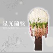 星光蘭盤(租用) (限館內/安靈14...