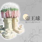 帝王球(租用) (限館內/安靈14天...