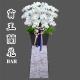 200CM 霸王蘭花 (限館內/告別式當天出租/白色)