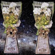 {3對出租}璀燦星空走道蘭花(限殯儀館告別式)