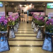 {3對出租}璀燦星空走道粉蘭花(限殯儀館告別式)