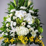 C款典雅蘭花高架花籃(無法指定款式)