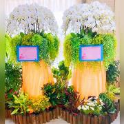 (出租)帝王蘭花(白)(含造景)-限殯儀館內