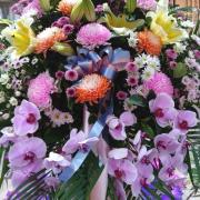 蘭花大型羅馬柱