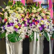 高雅藝術花籃F款