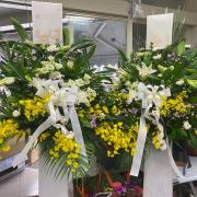 藝術高架花籃B款