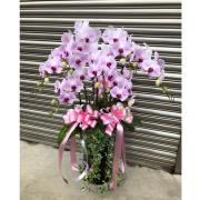10株蘭花盆景(粉)
