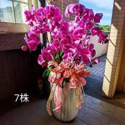 7株蘭花盆景(粉)