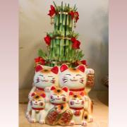 招財貓開運竹盆栽