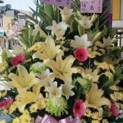 祝賀高價花籃(A)