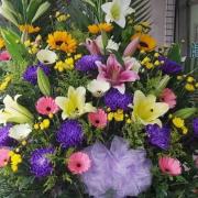 祝賀高價花籃(B)