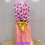 粉色出租蘭花(限殯儀館內告別式單場)