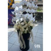 9株蘭花