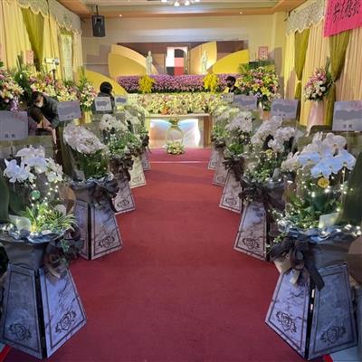(5對出租)璀燦星空走道蘭花(限殯儀館告別式)