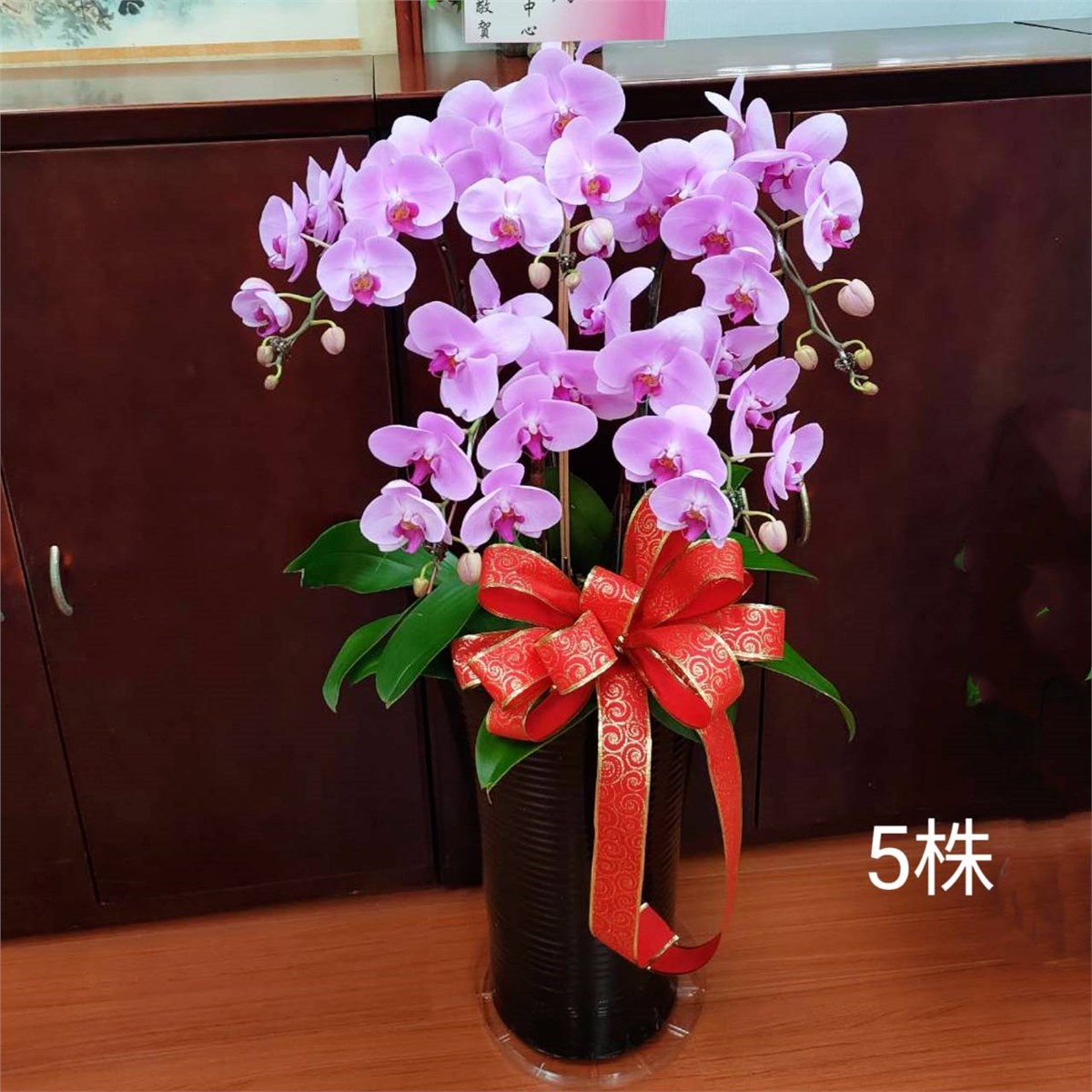5株蘭花盆景-台北,新北(紅或粉)