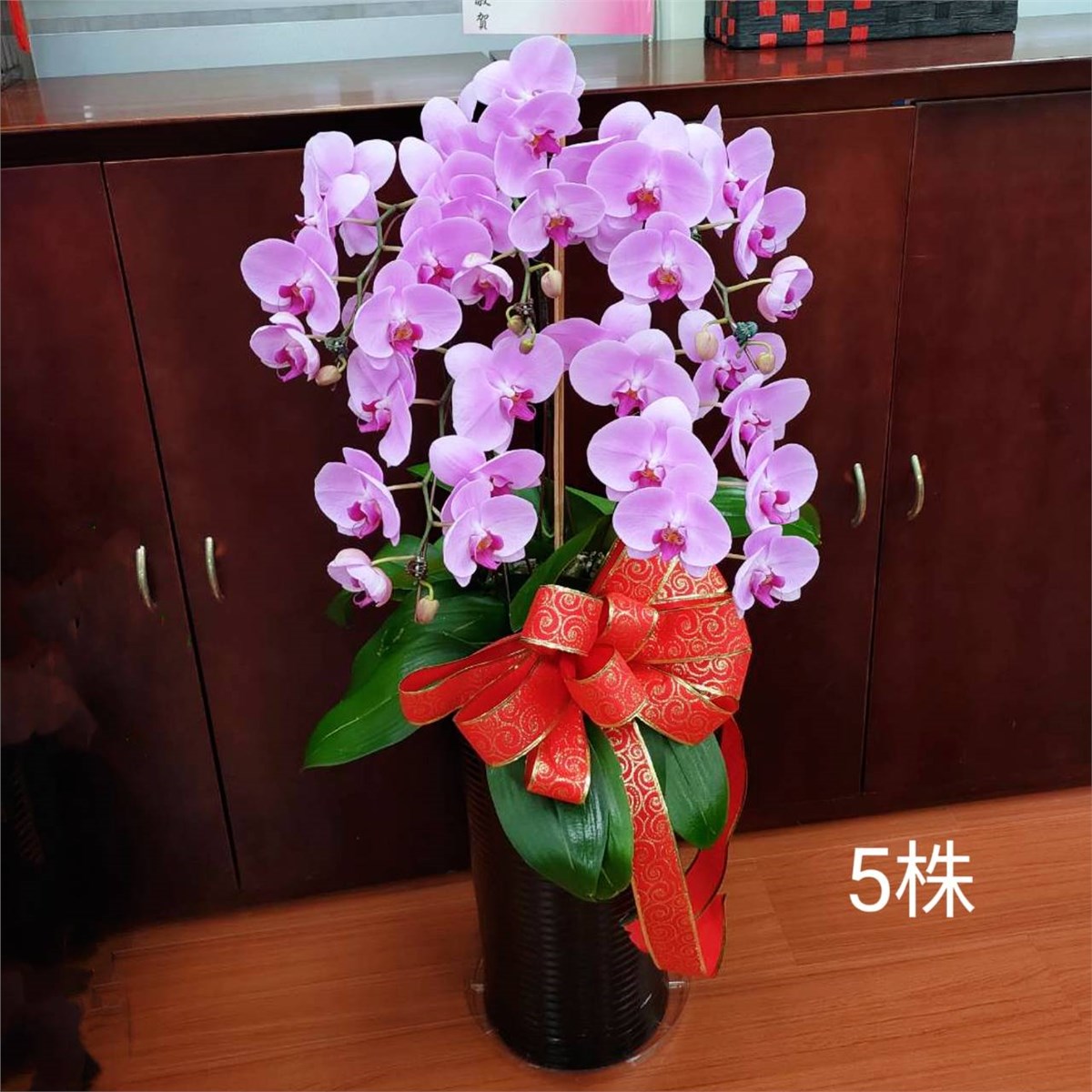 5株蘭花盆景-台北,新北(紅或粉)