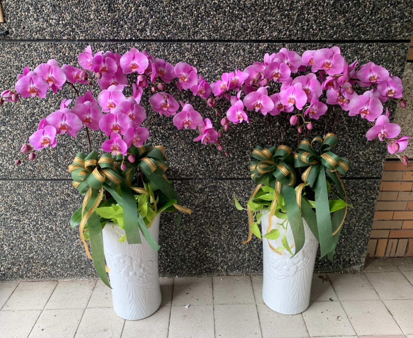 7株高盆粉色蘭花*一對* （喪）