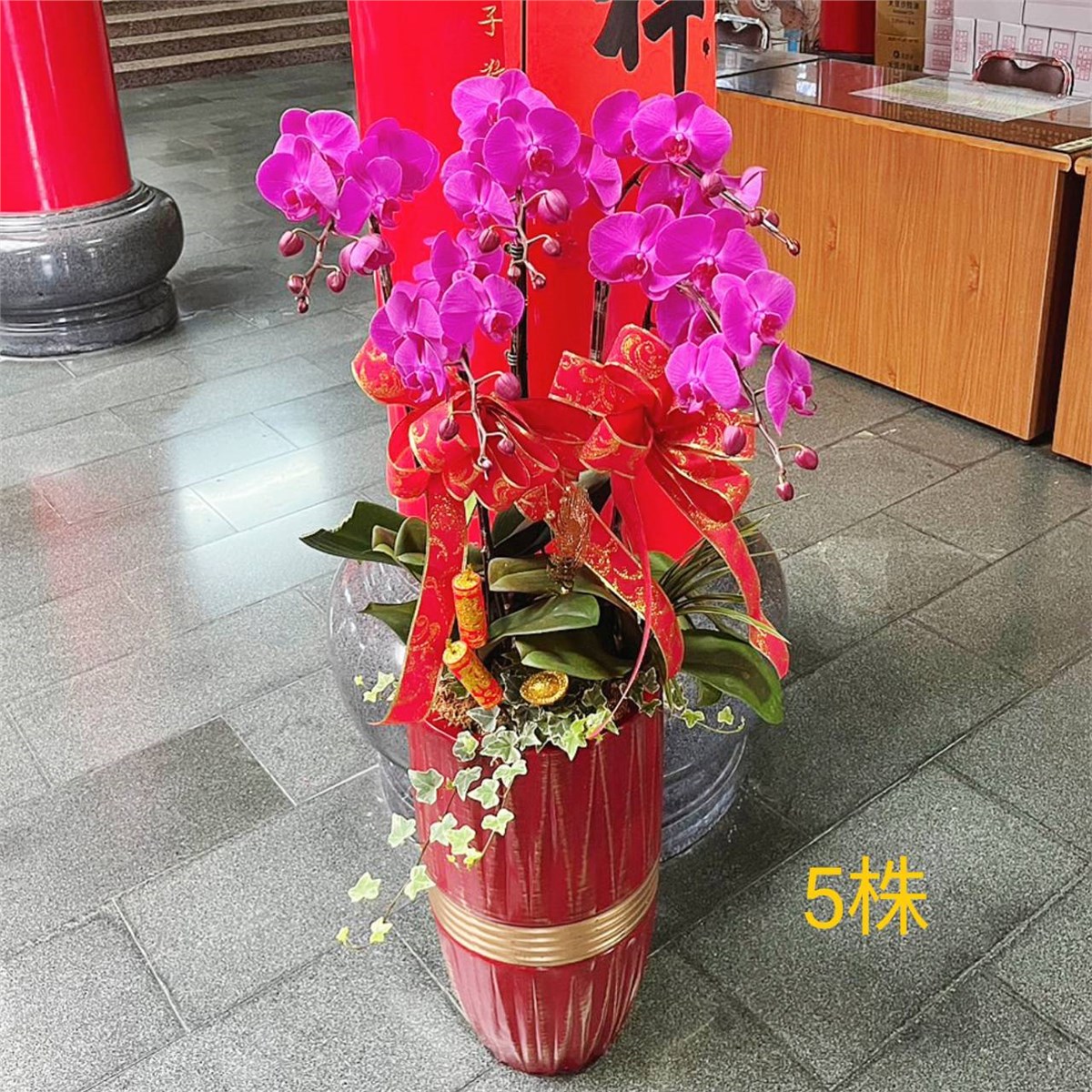 5株蘭花(粉)